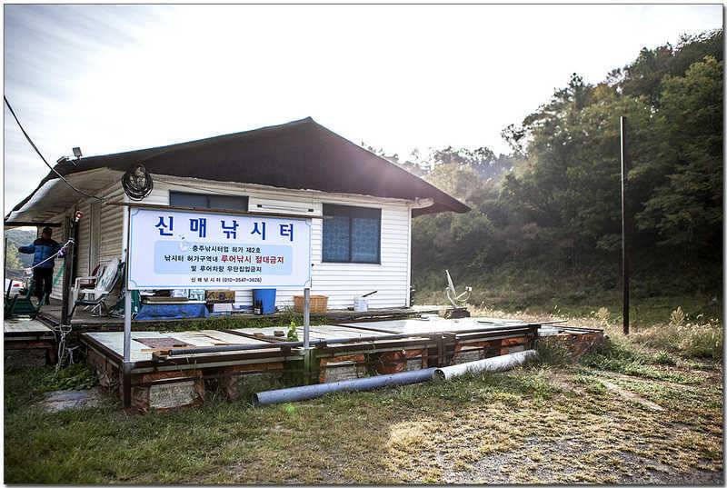 신매 낚시터 월척 (조황조행기 - 특파원조황)