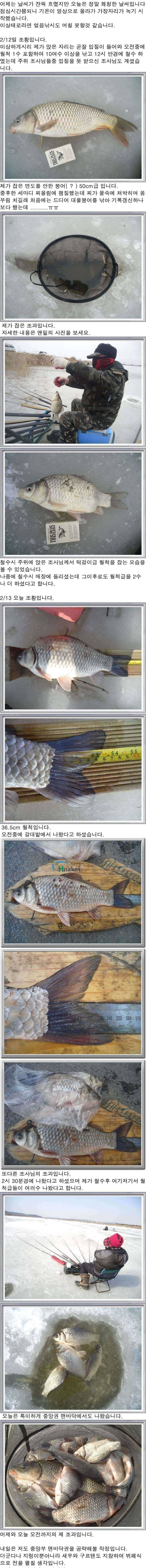 21213 부남호 얼음낚시 조황 (조황조행기 - 특파원조황)
