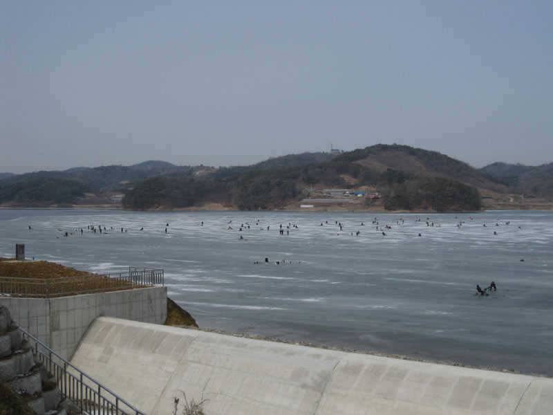충화지 얼음낚시 (조황조행기 - 특파원조황)