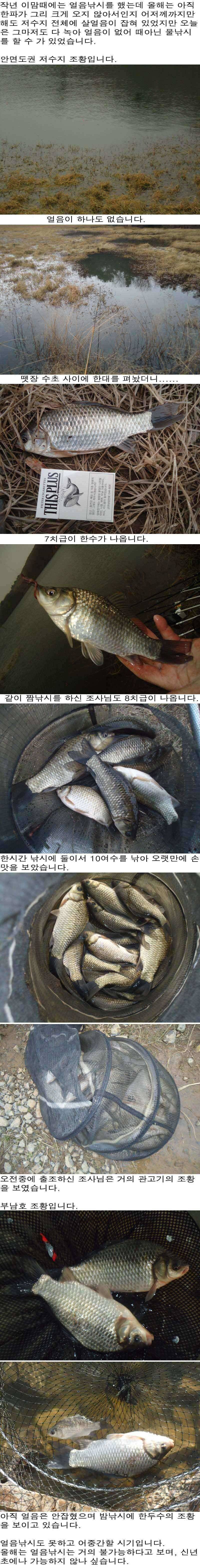 1226 안면도권 저수지 물낚시 아직 끝나지 않았습니다 (조황조행기 - 특파원조황)