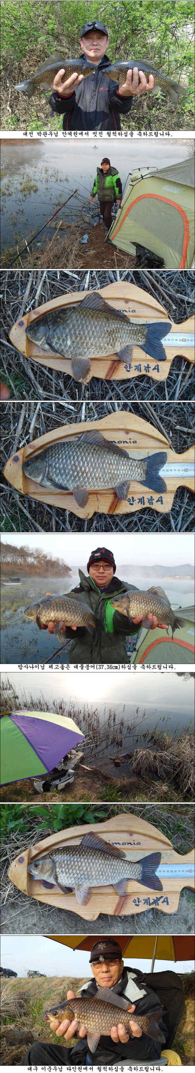 월척대물 조황소식 입니다 (조황조행기 - 특파원조황)
