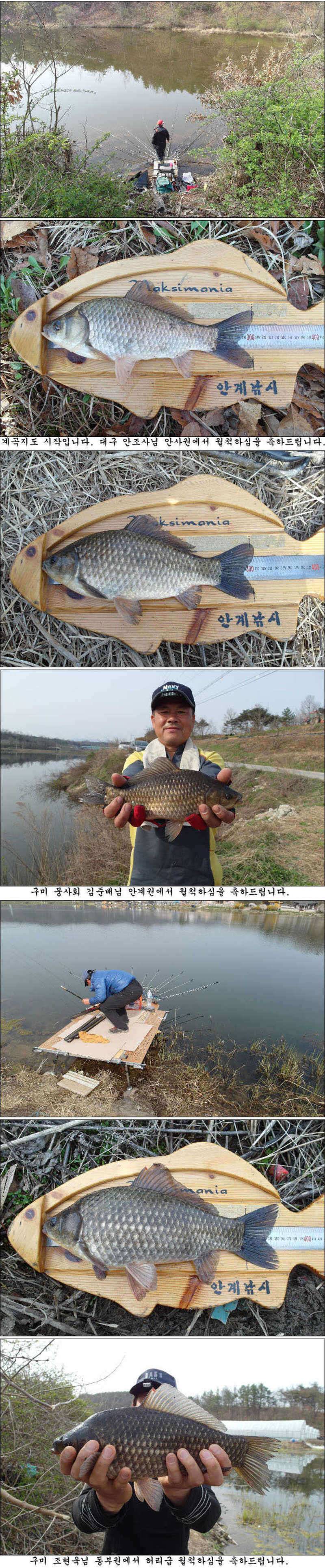 월척대물 조황소식 입니다 (조황조행기 - 특파원조황)