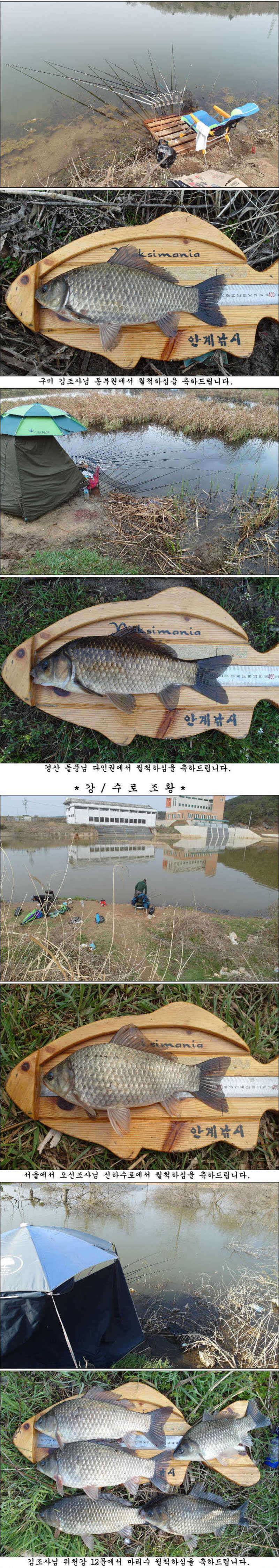 월척대물 조황소식 입니다 (조황조행기 - 특파원조황)