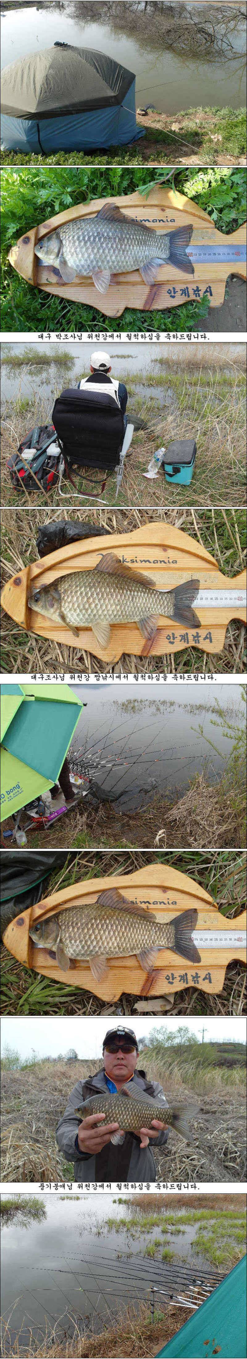 월척대물 조황소식 입니다 (조황조행기 - 특파원조황)