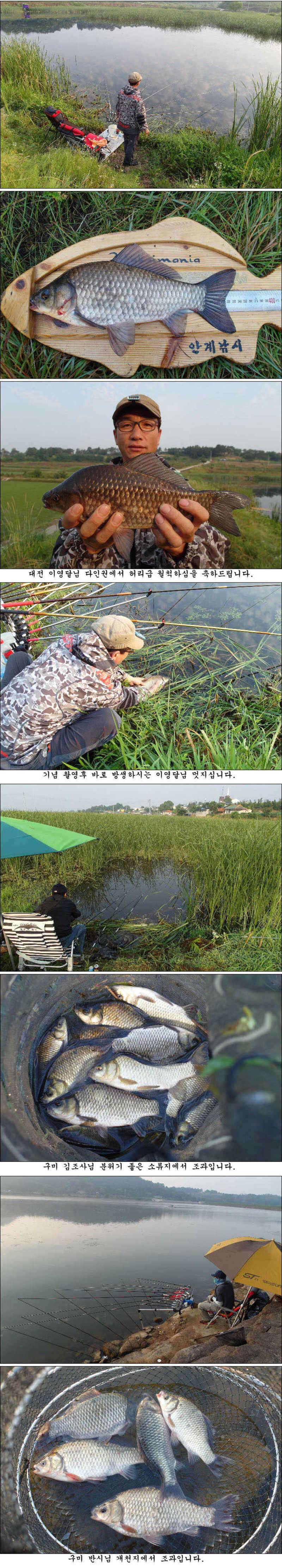 지난 주말과 금주 주중 조황소식입니다 (조황조행기 - 특파원조황)