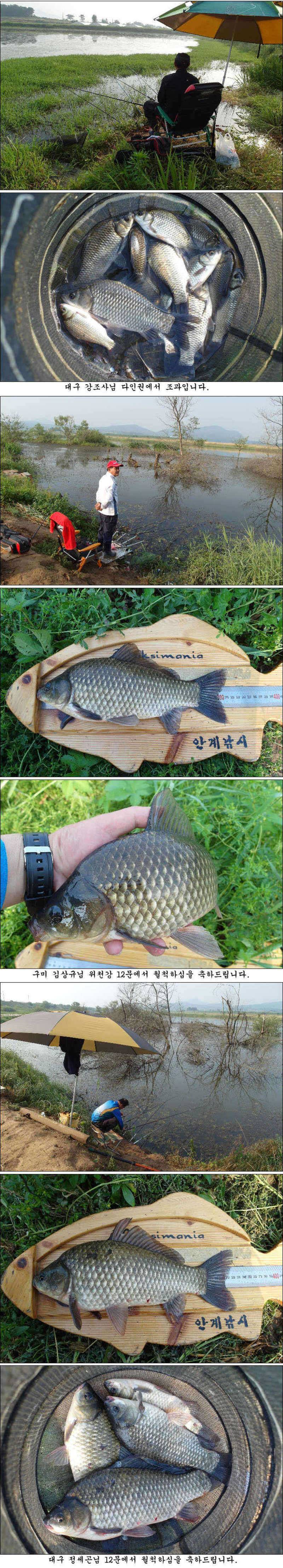 지난 주말과 금주 주중 조황소식입니다 (조황조행기 - 특파원조황)