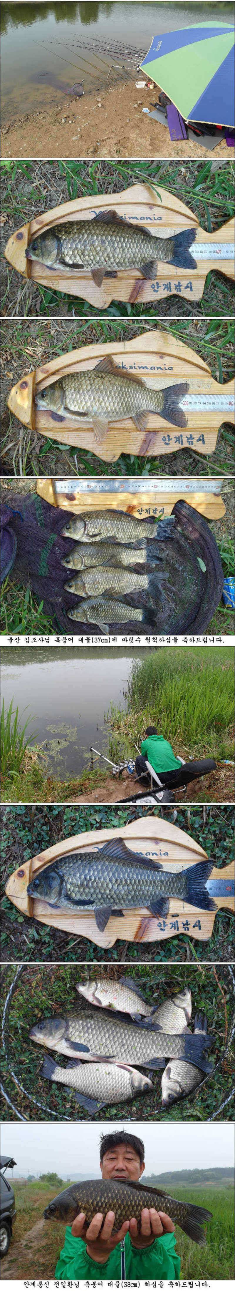 지난 주말과 금주 주중 조황소식입니다 (조황조행기 - 특파원조황)