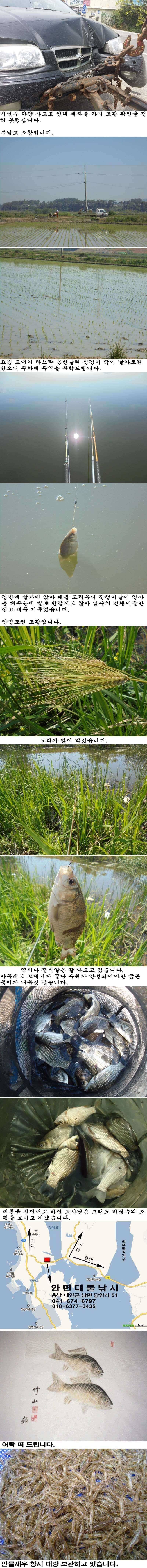 527 안면도권 및 부남호 조황 (조황조행기 - 특파원조황)
