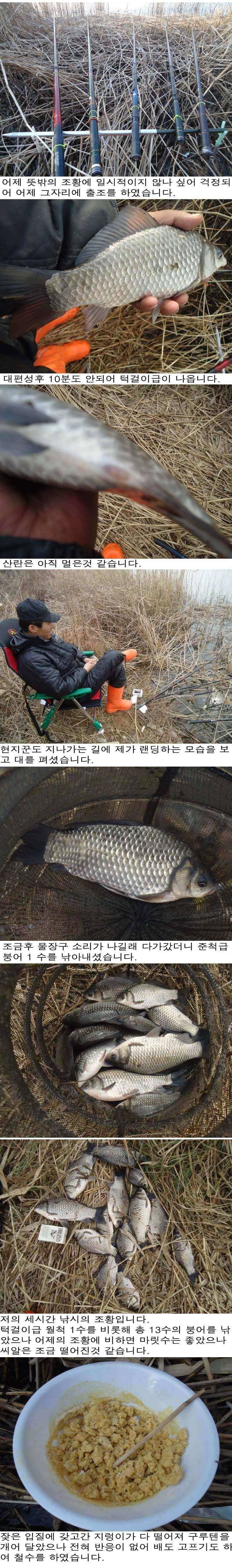 217 부남호 뜻밖의 호조황 (조황조행기 - 특파원조황)
