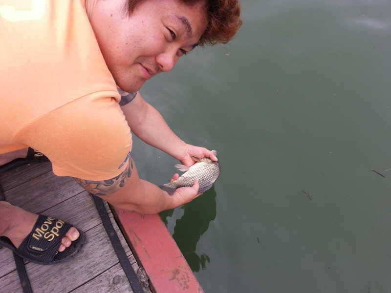 충주호 신매종점낚시터 조황 (조황조행기 - 특파원조황)