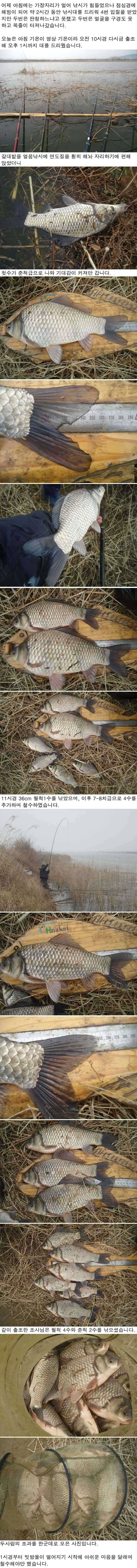 222 부남호 주중 조황 (조황조행기 - 특파원조황)
