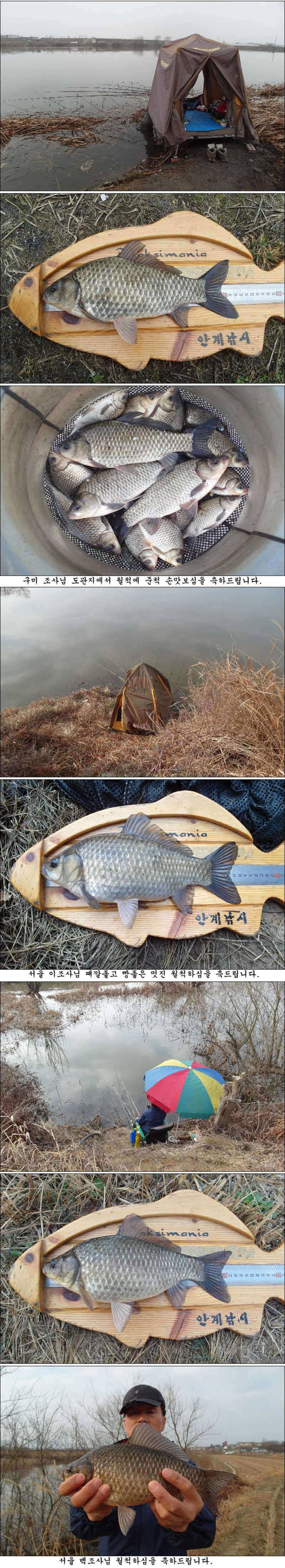 허리급에 월척준척 마릿수 조황 (조황조행기 - 특파원조황)