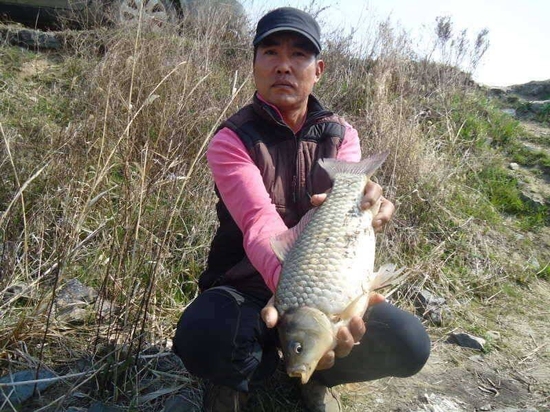 42 부남호 35cm 이하는 잔챙이 취급 받는 조황 (조황조행기 - 특파원조황)