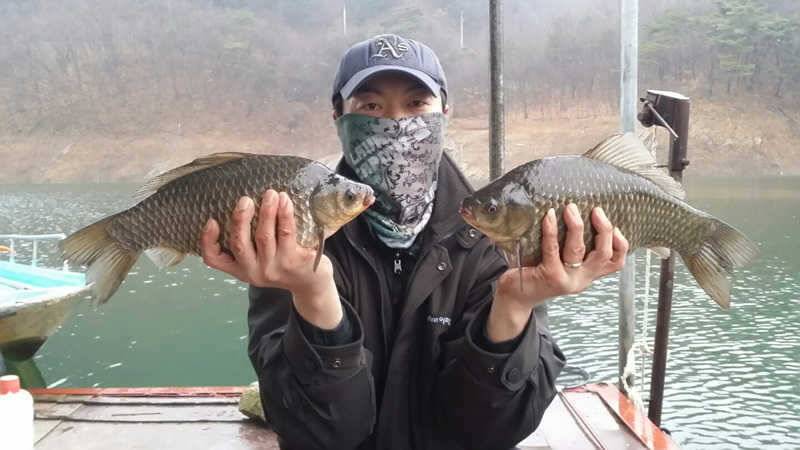 하천리 40 39cm 대물붕어 조황입니다 (조황조행기 - 특파원조황)