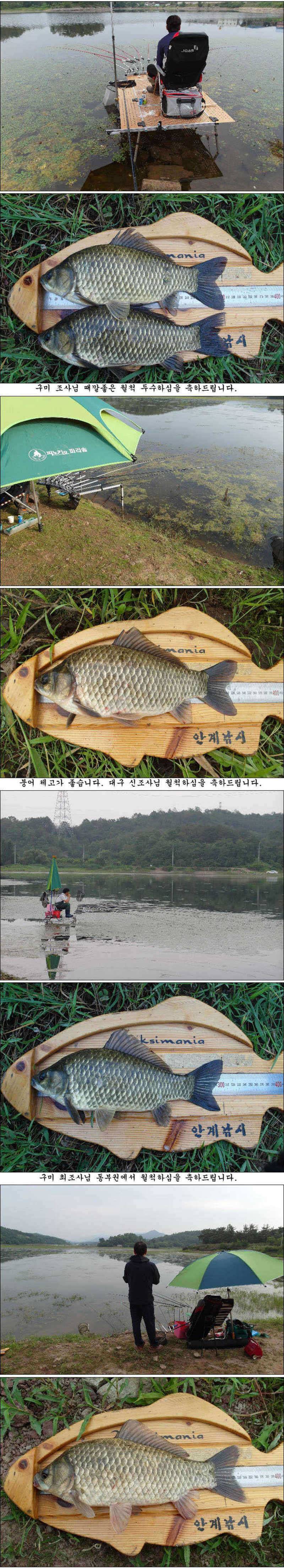 배수와 가뭄속에 호조황 (조황조행기 - 특파원조황)
