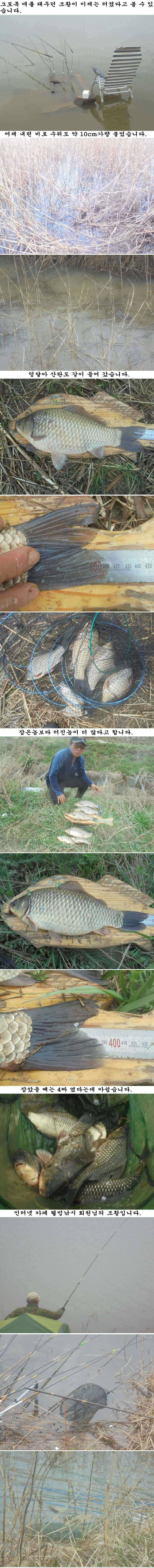 44 부남호 대물붕어 터졌습니다 (조황조행기 - 특파원조황)