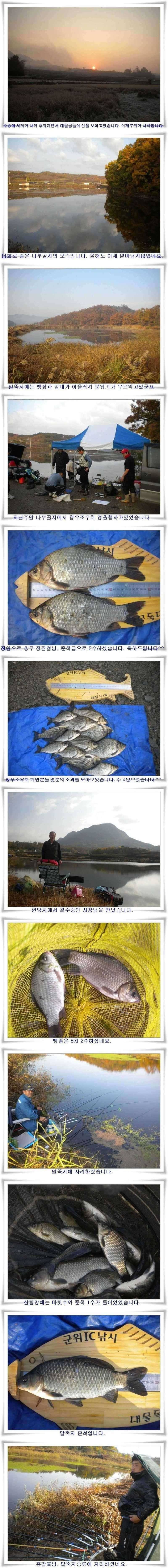 대물의 등장 (조황조행기 - 특파원조황)
