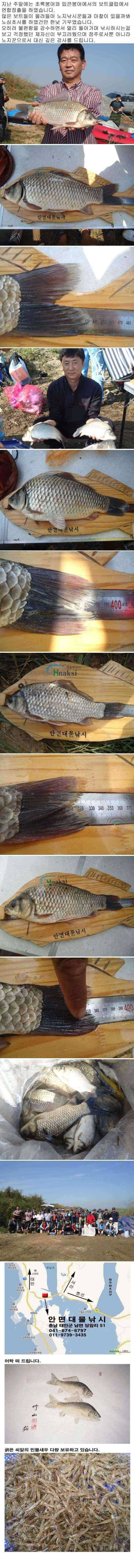 부남호 주말 조황 안내1 (조황조행기 - 특파원조황)