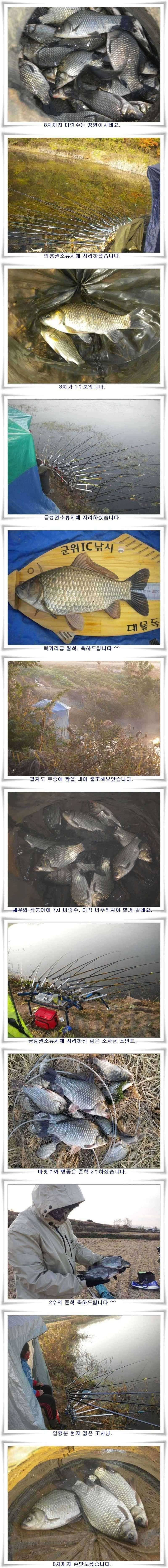 대물의 등장 (조황조행기 - 특파원조황)