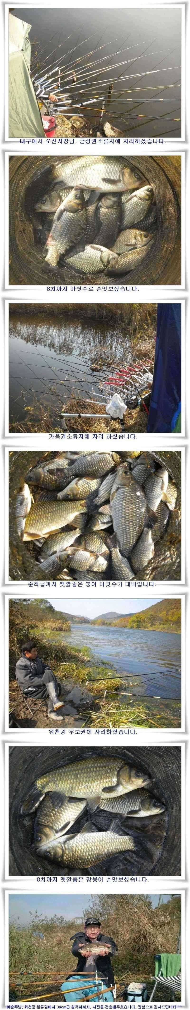 대물의 등장 (조황조행기 - 특파원조황)