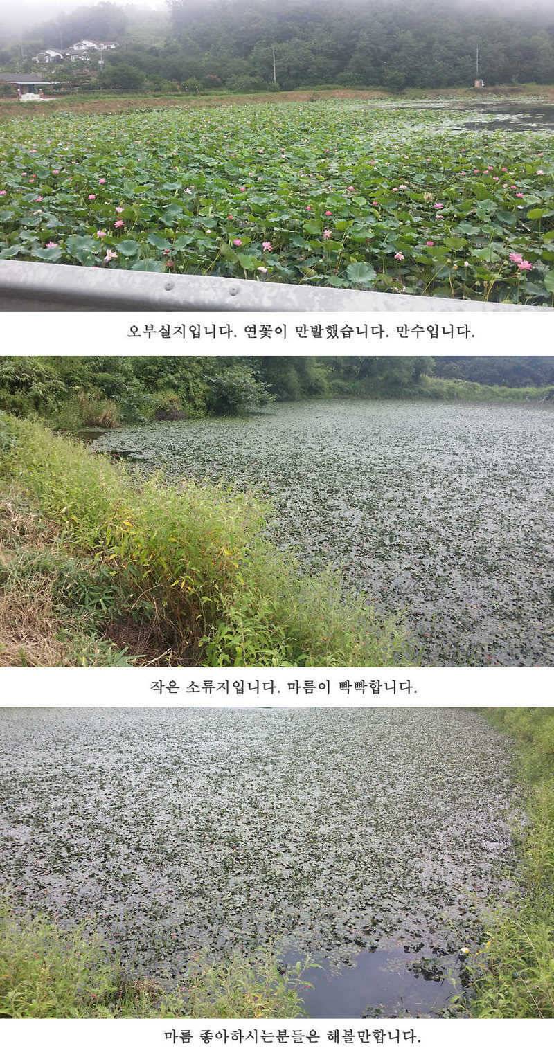 청도권 이번주 조황입니다 (조황조행기 - 특파원조황)