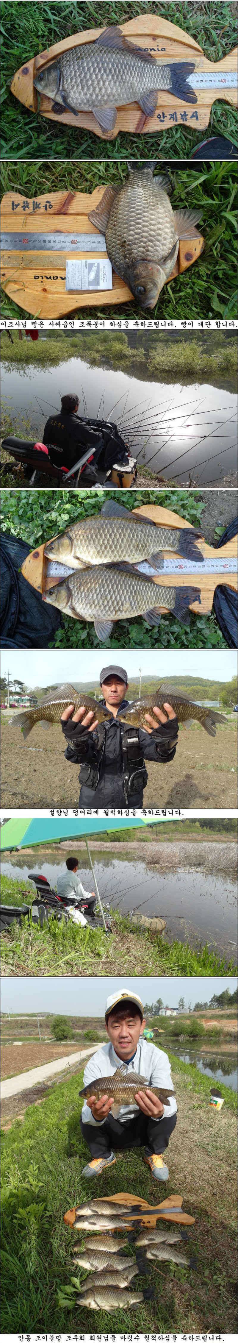 허리급들에 덩어리들 조황소식입니다 (조황조행기 - 특파원조황)