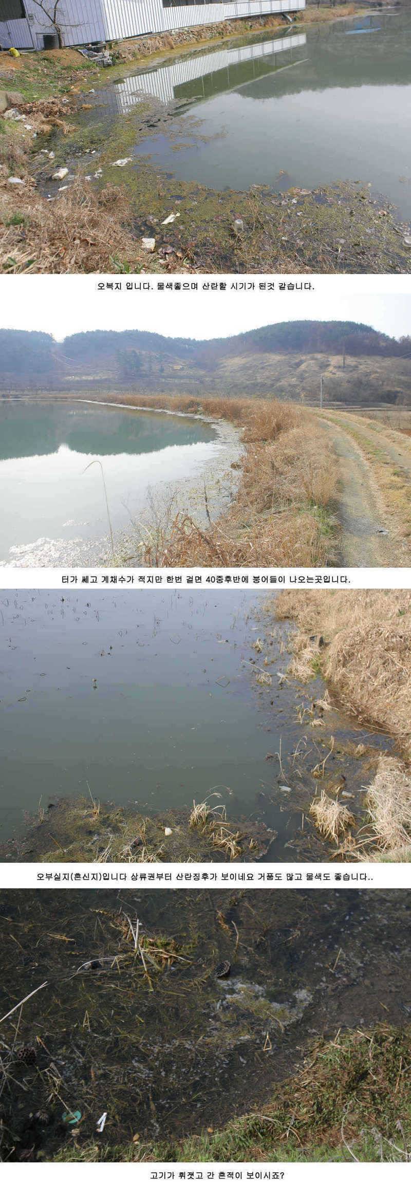 청도권 주말 주중 조황정보 (조황조행기 - 특파원조황)