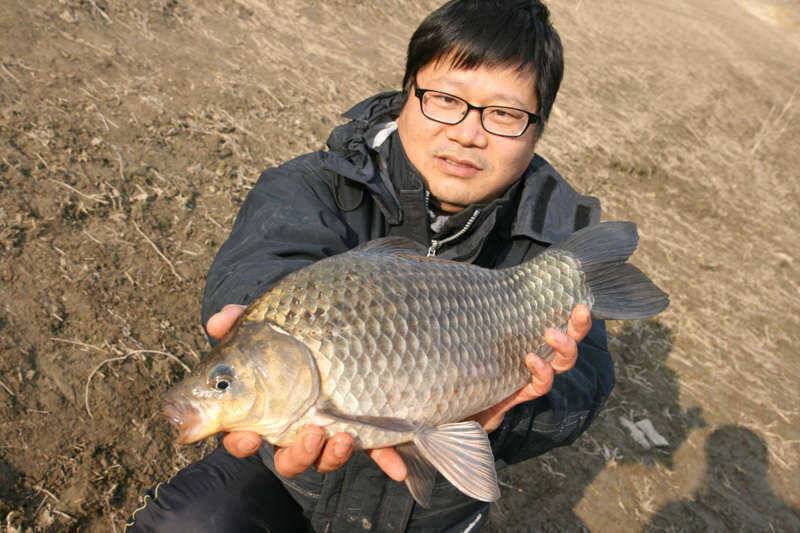 충주호 노지서낚인 43cm급 대물붕어 (조황조행기 - 특파원조황)