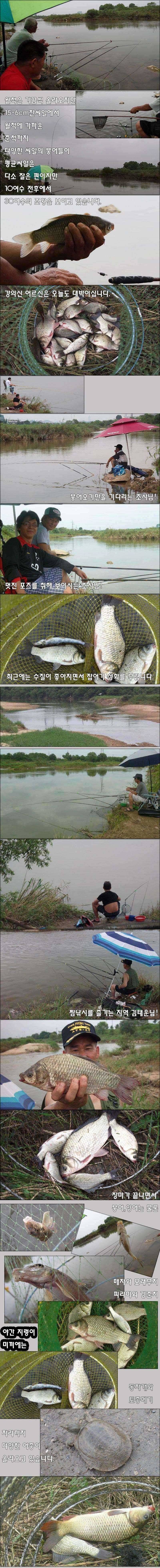 꿈틀대는 오산권 수로 붕어들 (조황조행기 - 특파원조황)