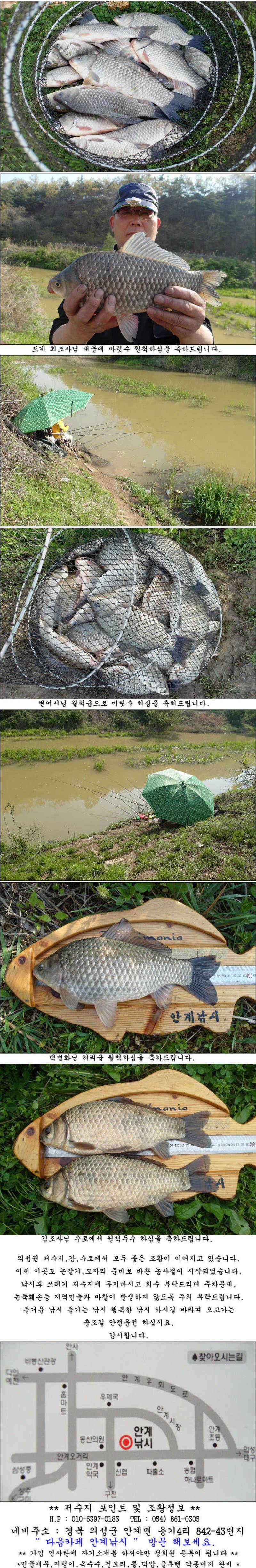 마릿수 월척과 허리급 대물조황 (조황조행기 - 특파원조황)