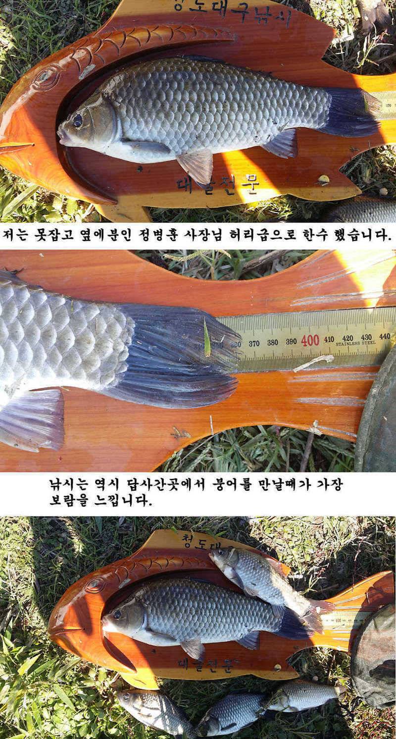 청도권 기록 갱신의 시기 (조황조행기 - 특파원조황)