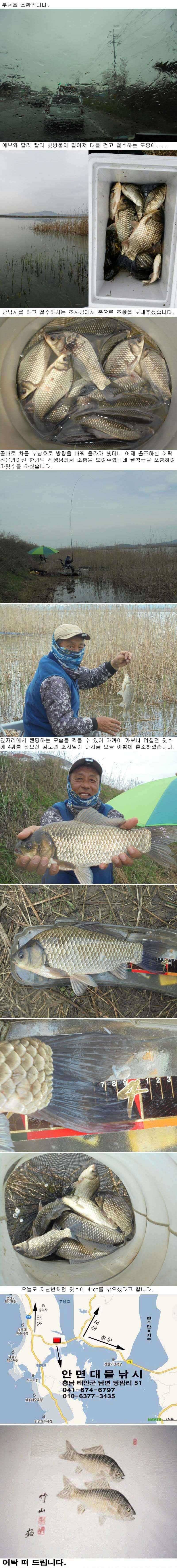 420 안면도권 저수지 및 부남호 대박 조황 (조황조행기 - 특파원조황)