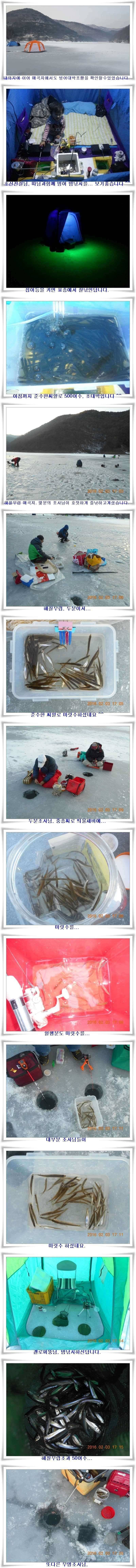 빙어1000수500수초대박조황 (조황조행기 - 특파원조황)