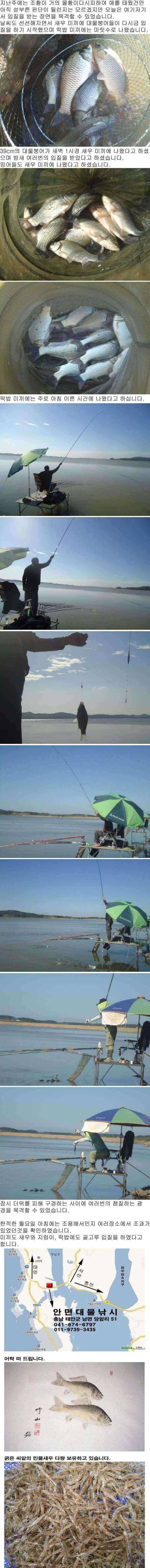 부남호 되살아난 조황 (조황조행기 - 특파원조황)