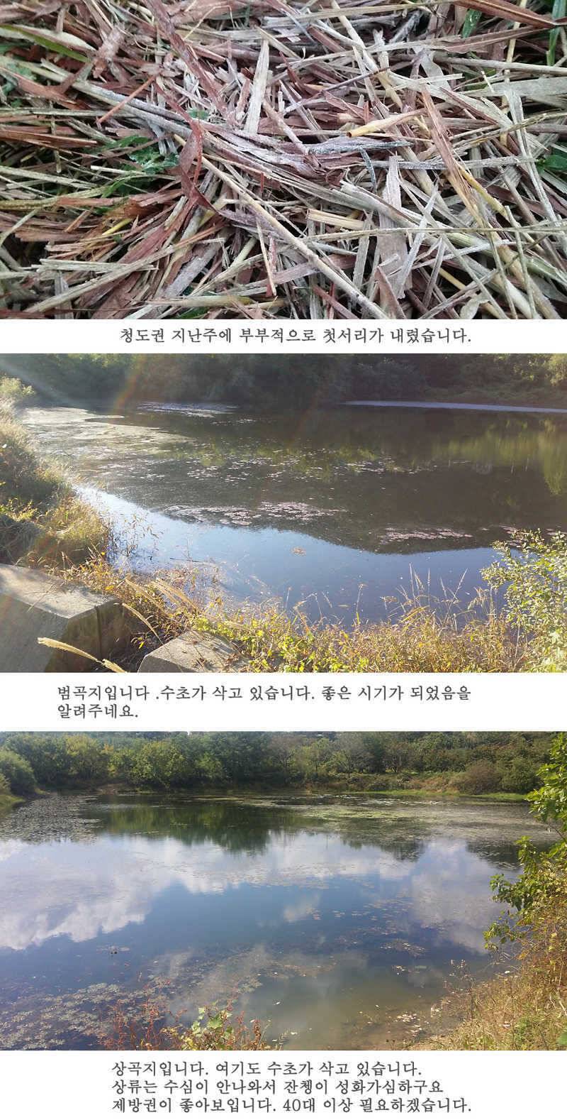 청도권 지난주 조황입니다 월척 빵빵터지네요 (조황조행기 - 특파원조황)