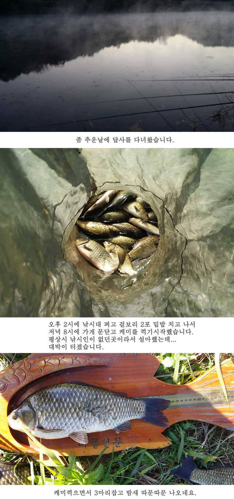청도권 지난주 조황입니다 월척 빵빵터지네요 (조황조행기 - 특파원조황)