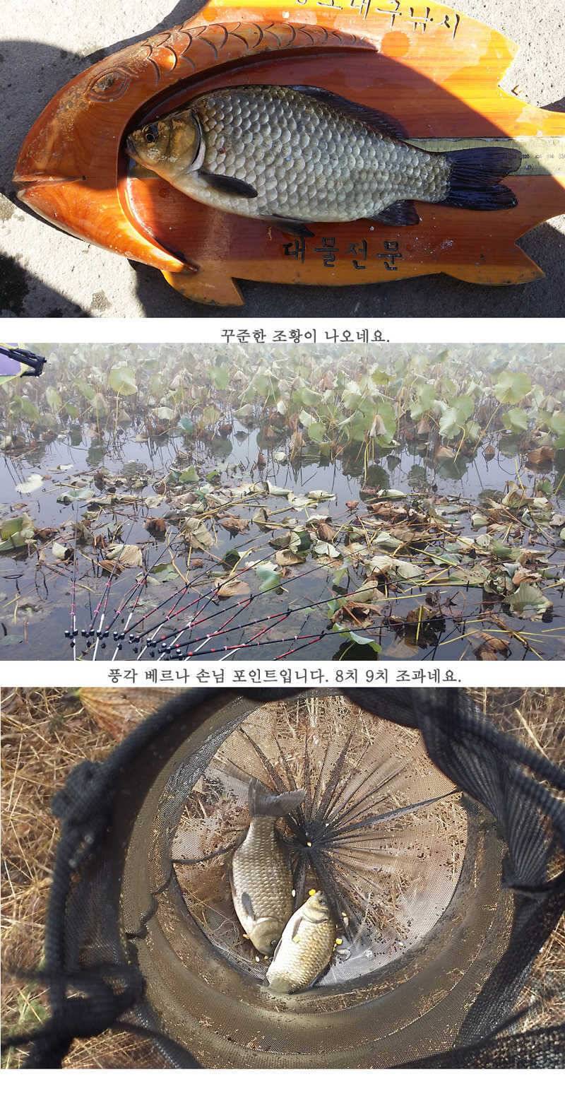 청도권 지난주 조황입니다 월척 빵빵터지네요 (조황조행기 - 특파원조황)