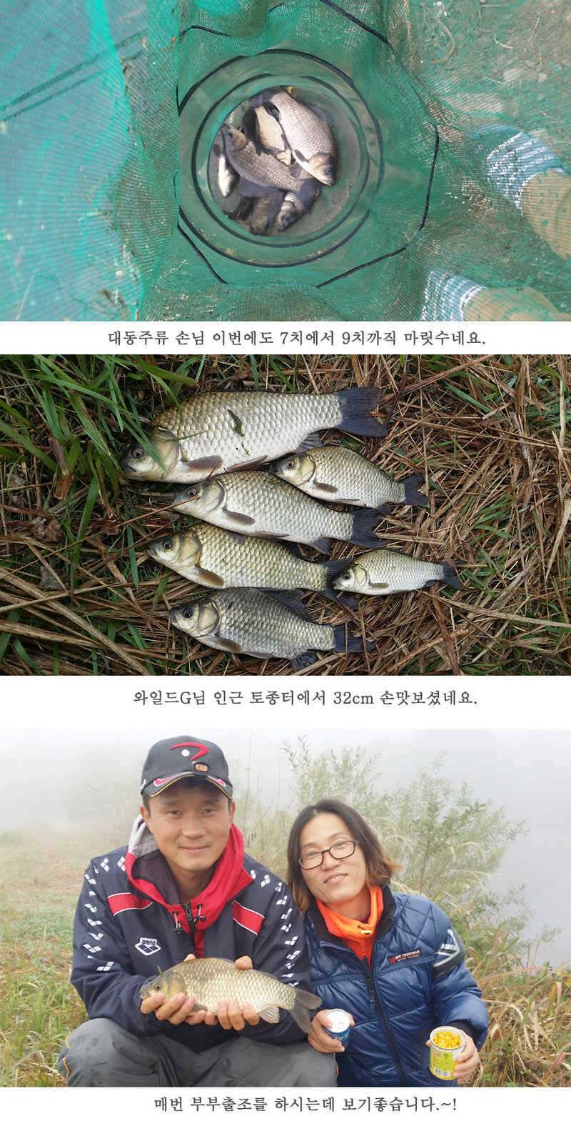 청도권 지난주 조황입니다 월척 빵빵터지네요 (조황조행기 - 특파원조황)