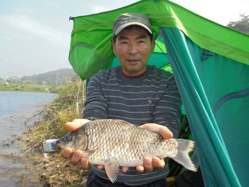 531 안면도권 및 부남호 주말 조황 (조황조행기 - 특파원조황)
