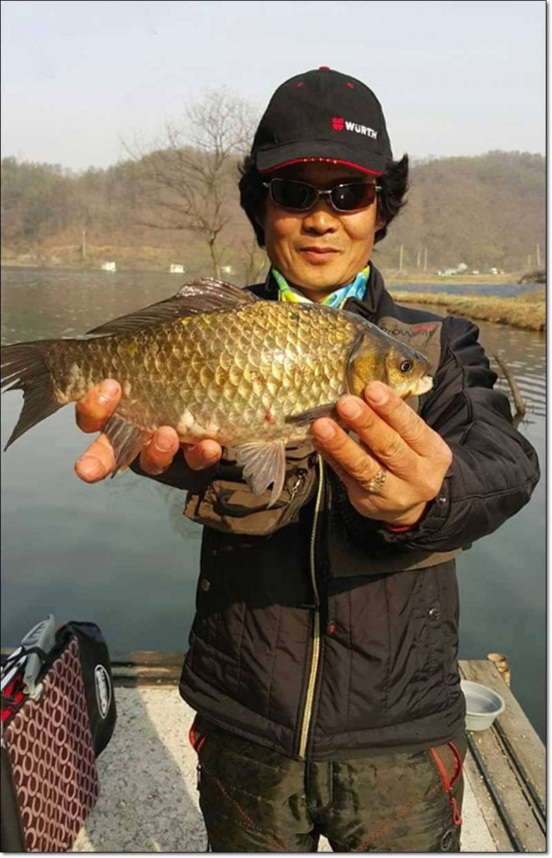 충주권 조황 (조황조행기 - 특파원조황)