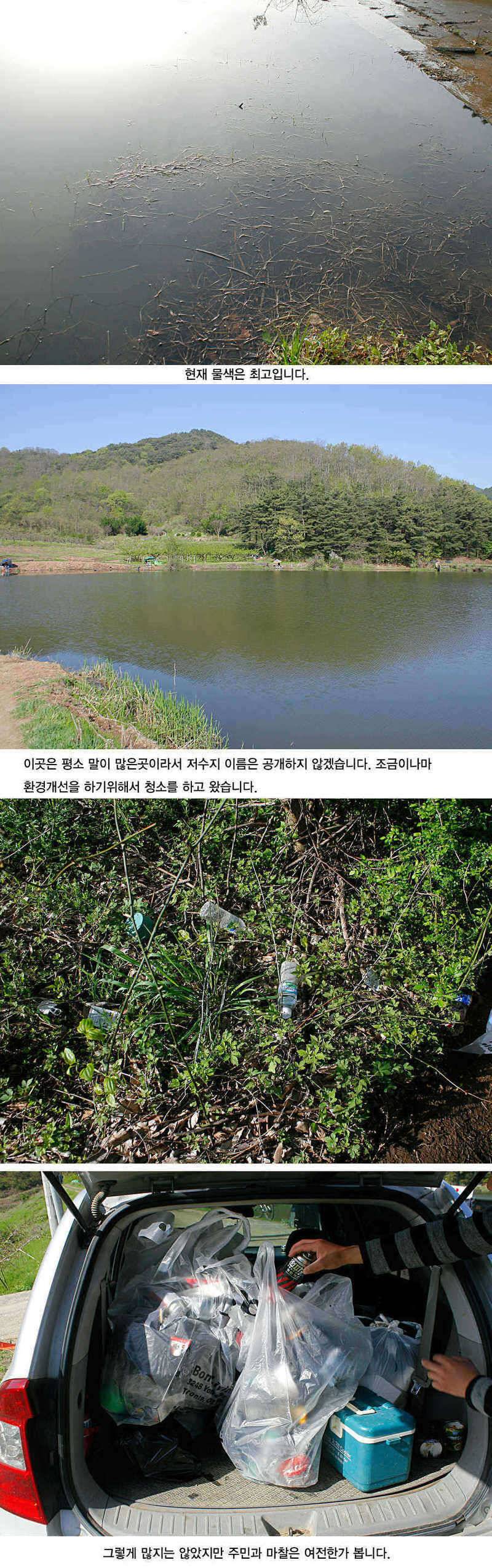 청도권 43 39 39 38 38대물들이 출현 (조황조행기 - 특파원조황)