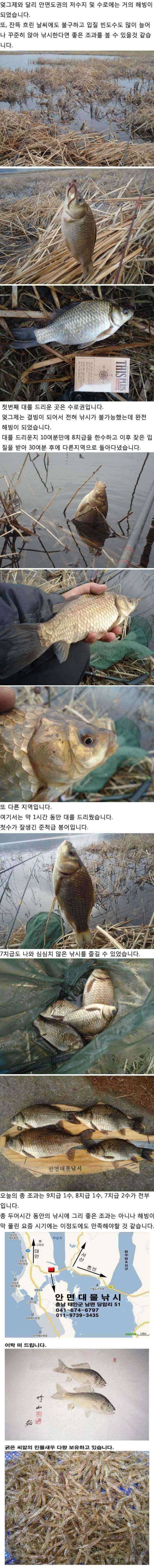 223 안면도권 저수지 및 수로 물낚시 안내 (조황조행기 - 특파원조황)