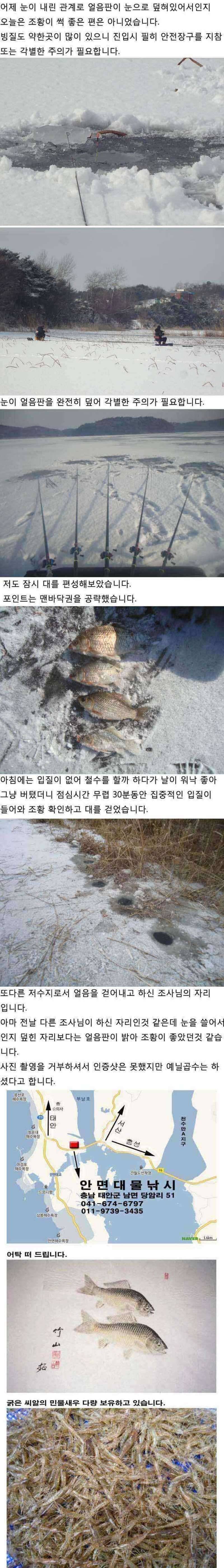 210 안면도권 저수지 및 수로 얼음낚시 안내 (조황조행기 - 특파원조황)
