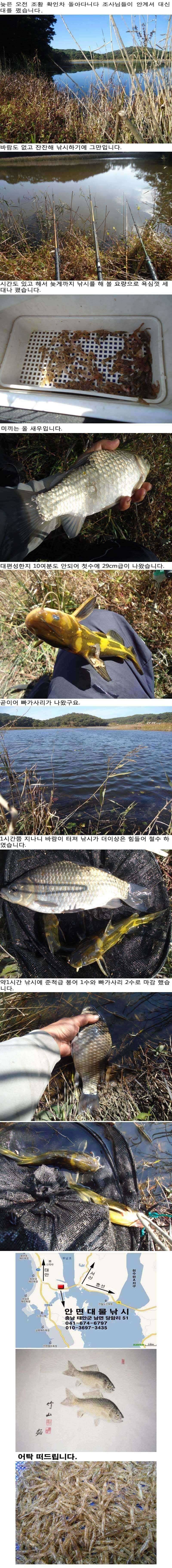 1030 안면도권 저수지 및 수로 주중 조황 (조황조행기 - 특파원조황)
