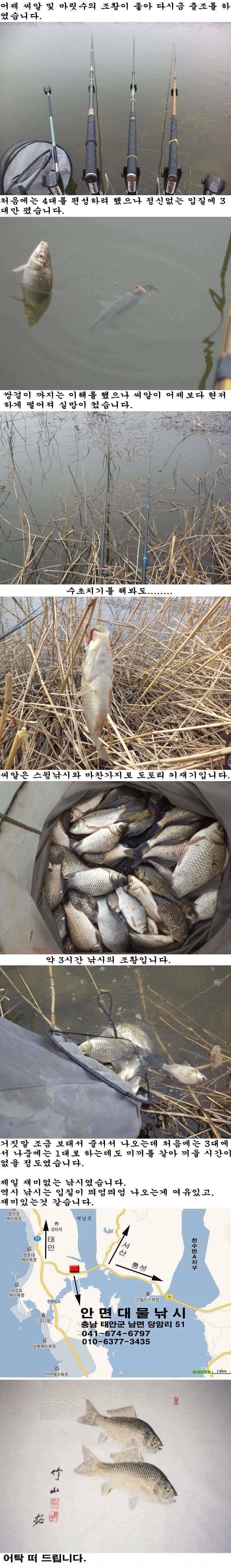 222 진짜 재미없는 낚시 조황 (조황조행기 - 특파원조황)