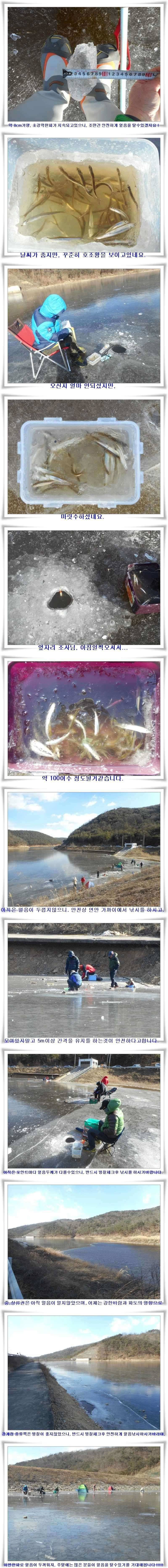 군위빙어낚시 시작 (조황조행기 - 특파원조황)