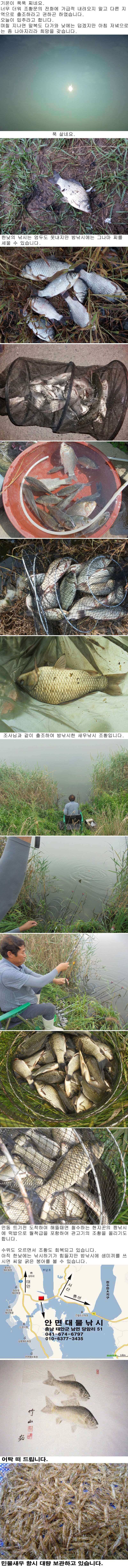 입추일 부남호 조황 (조황조행기 - 특파원조황)