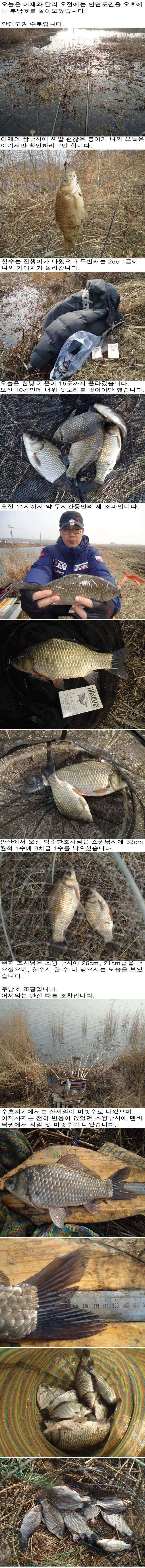 226 안면도권 수로 및 부남호 조황 (조황조행기 - 특파원조황)