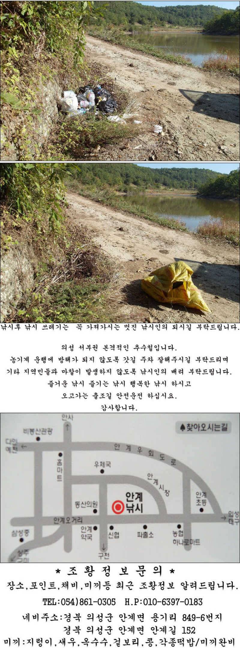 허리급에 마릿수 월척들 (조황조행기 - 특파원조황)
