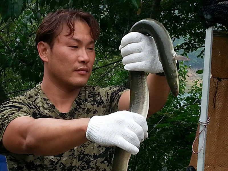 서운낚시터 장어조황 소식입니다 (조황조행기 - 특파원조황)